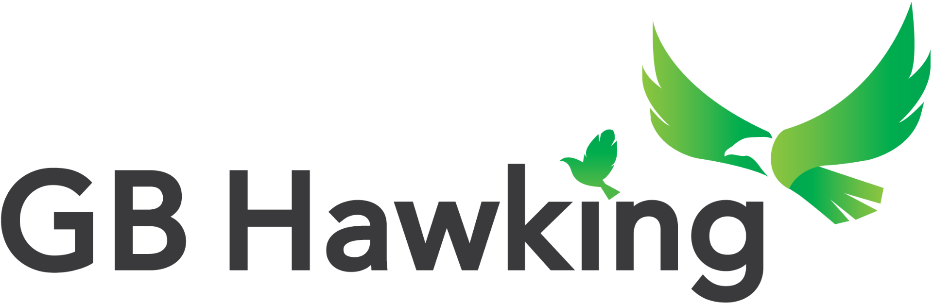 GB Hawking logo